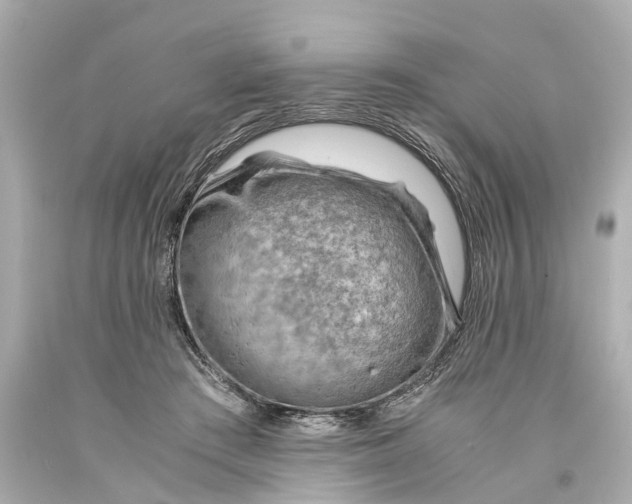 X0000093590409200711051142