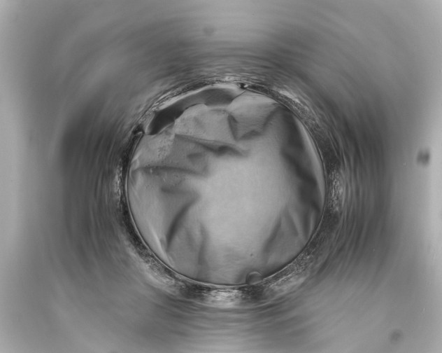X0000093590410200711051142