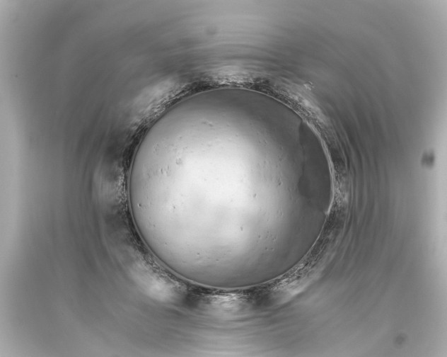 X0000093590411200711051142