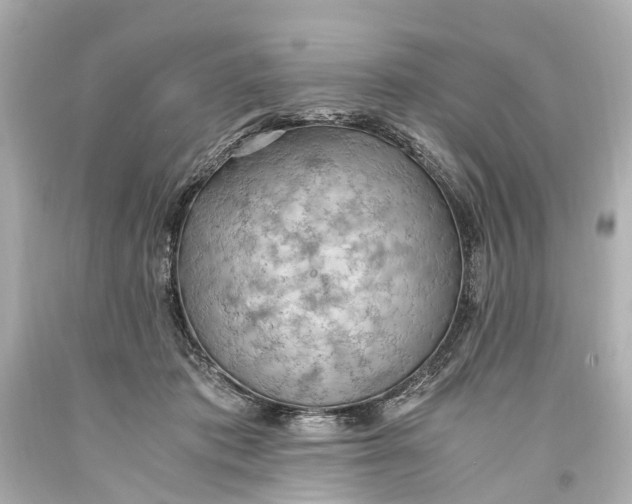 X0000093590413200711051142