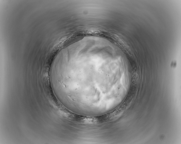 X0000093590415200711051142
