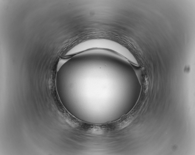 X0000093590416200711051142