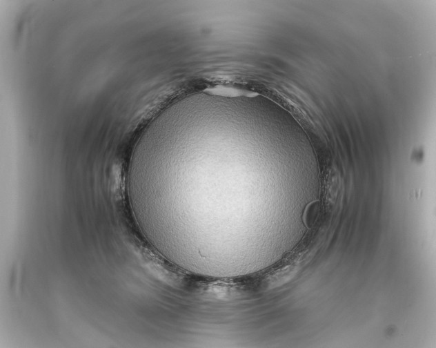 X0000093590420200711051142