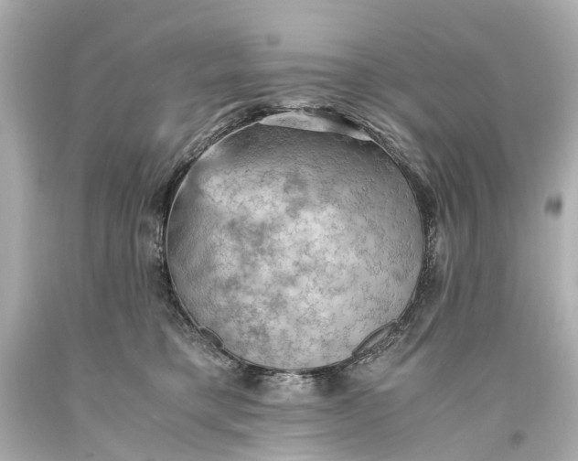 X0000093590421200711051142