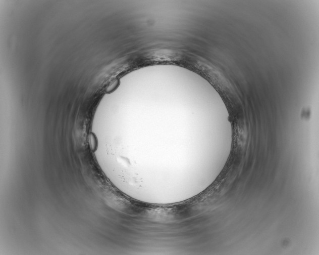 X0000093590422200711051142