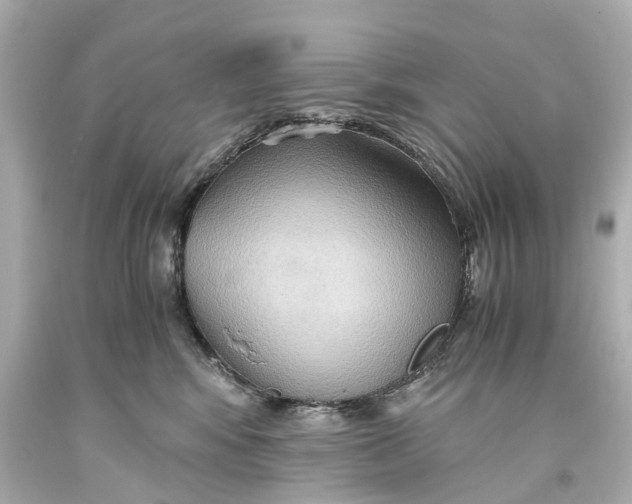 X0000093590424200711051142