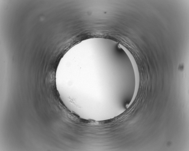 X0000093590425200711051142