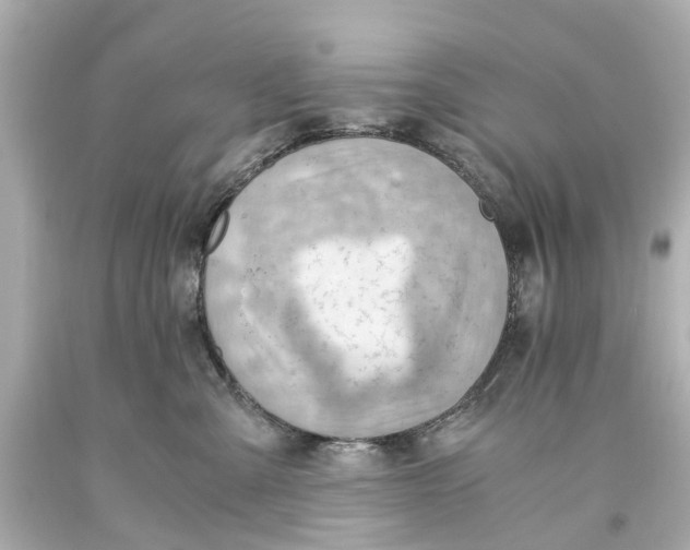 X0000093590427200711051142