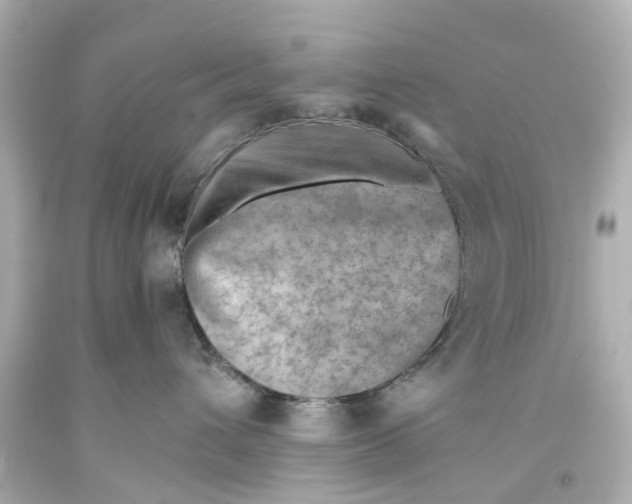 X0000093590432200711051142