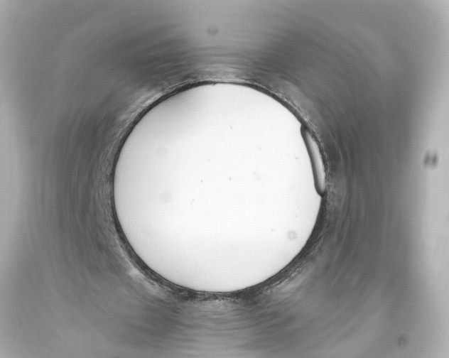 X0000093590433200711051141