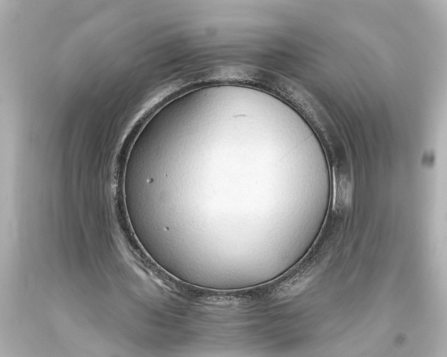 X0000093590435200711051141