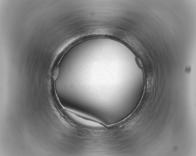 X0000093590436200711051141