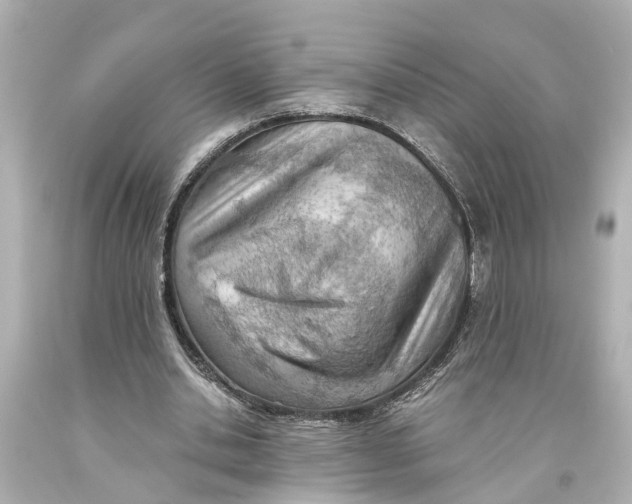 X0000093590438200711051141