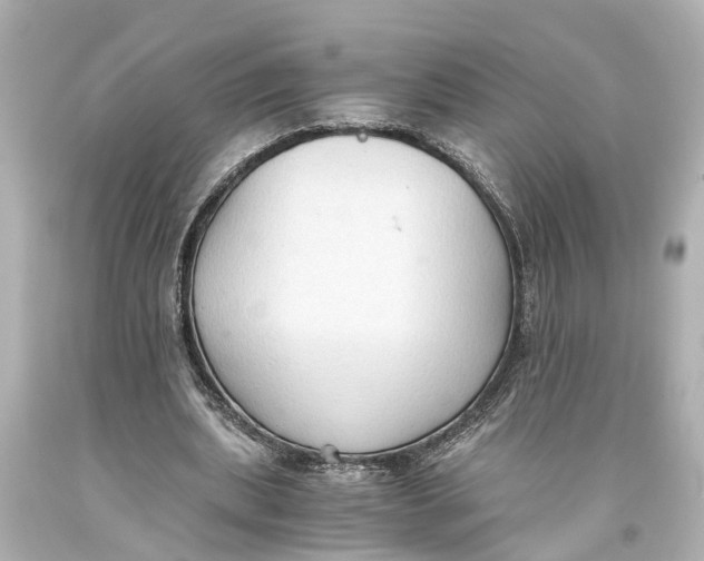 X0000093590439200711051141