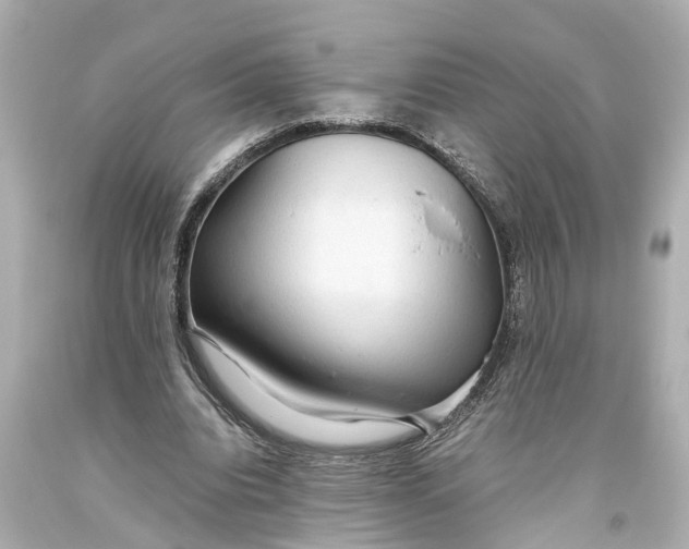 X0000093590440200711051141