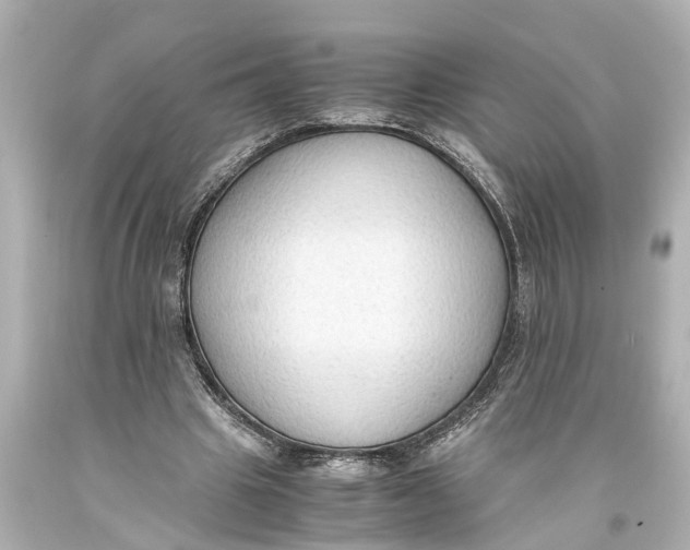 X0000093590441200711051141