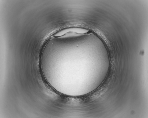 X0000093590442200711051141