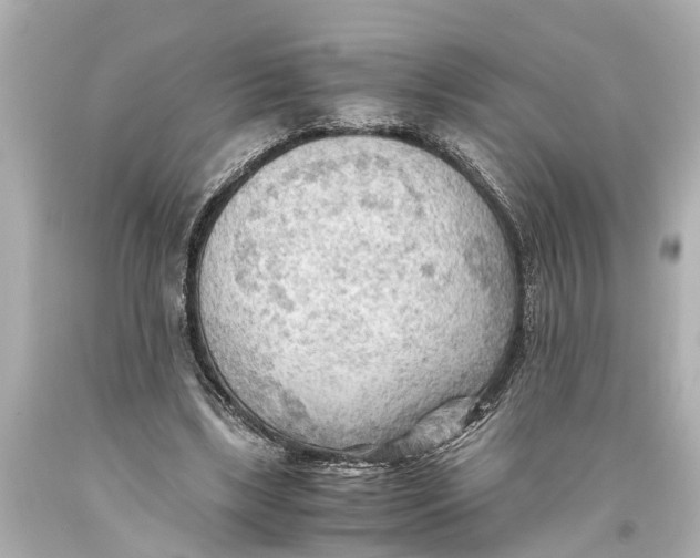X0000093590443200711051141