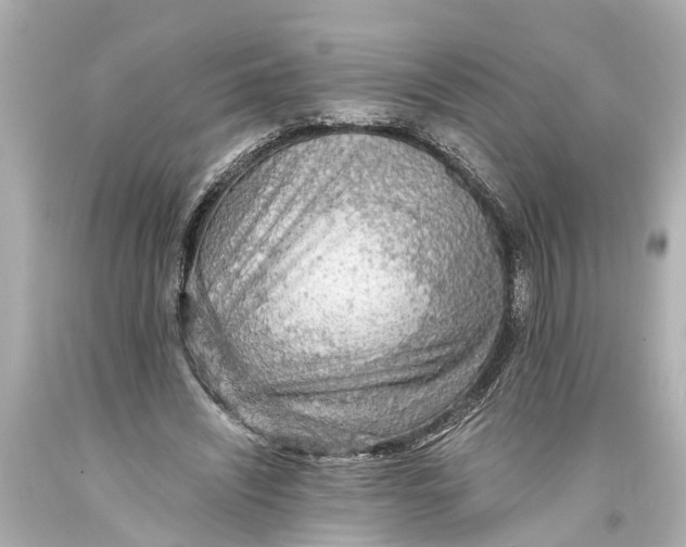 X0000093590444200711051141