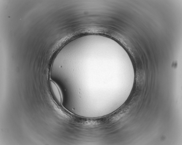 X0000093590445200711051141