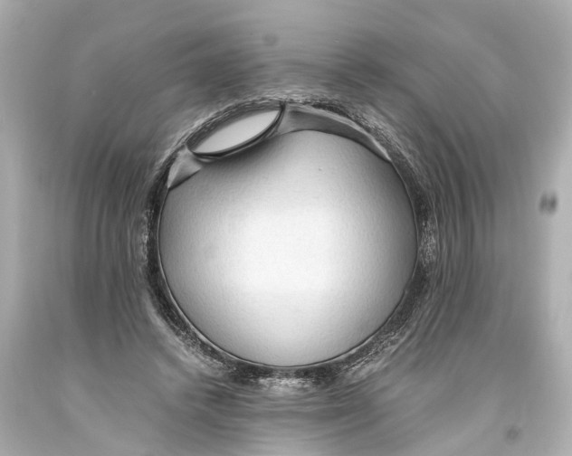 X0000093590448200711051141