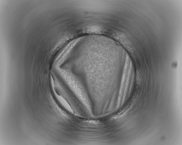 X0000093590449200711051141