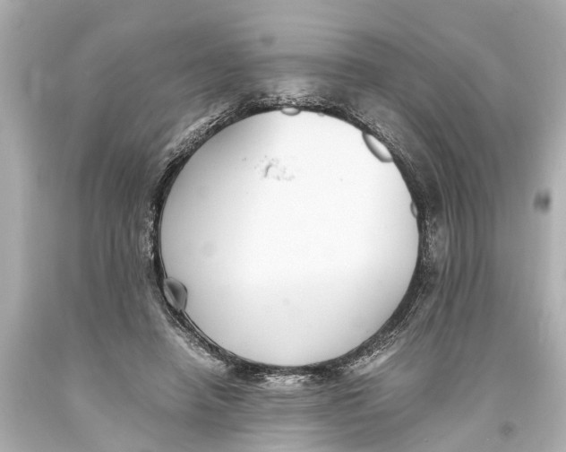 X0000093590450200711051141