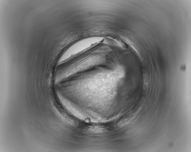 X0000093590451200711051141