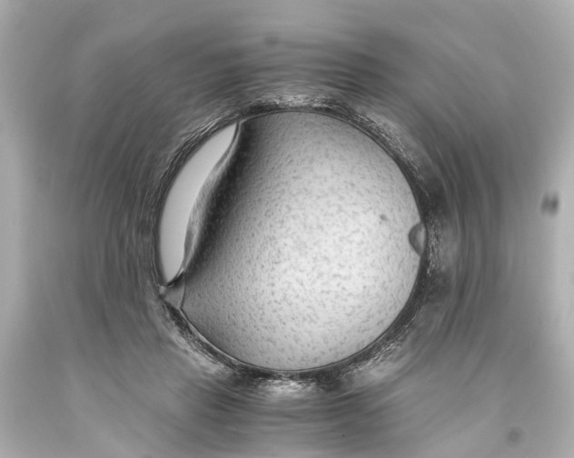 X0000093590453200711051141