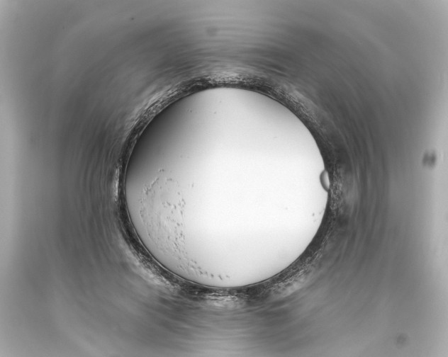 X0000093590454200711051141