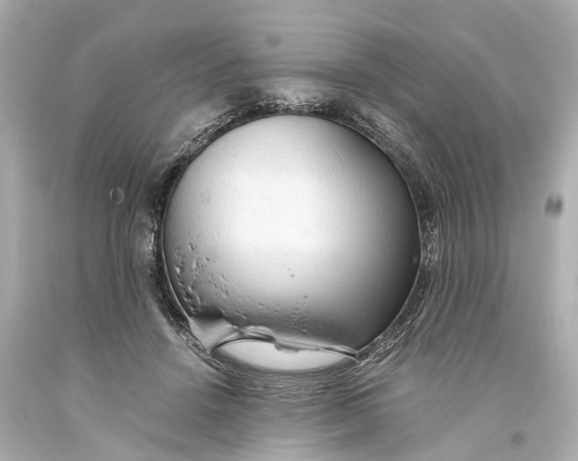 X0000093590456200711051141