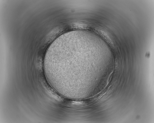 X0000093590457200711051141