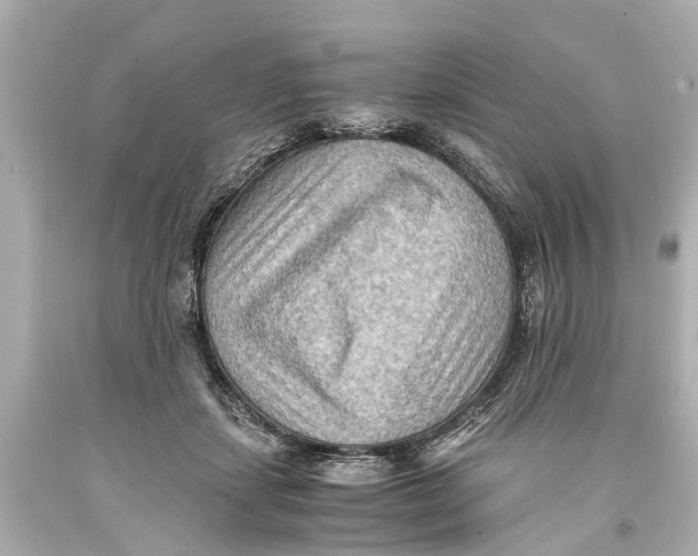 X0000093590459200711051141