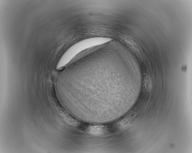 X0000093590461200711051141