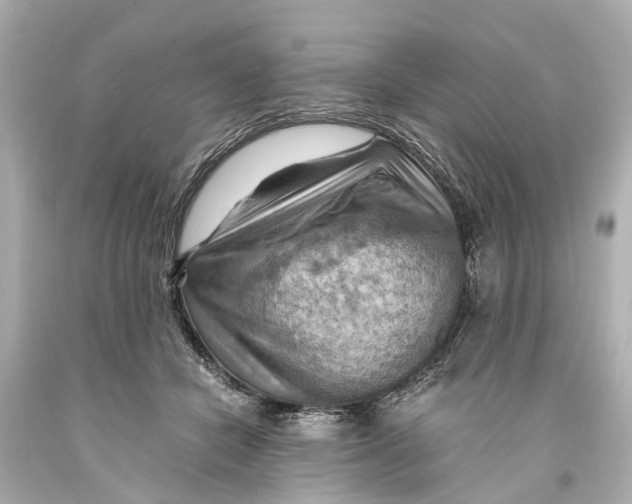 X0000093590462200711051141