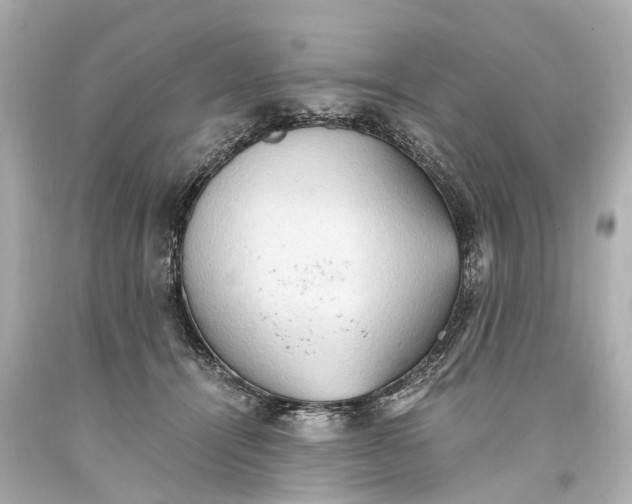 X0000093590464200711051141