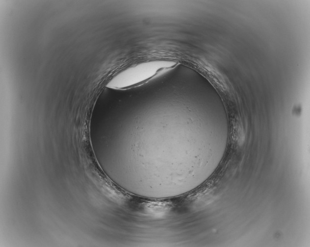 X0000093590465200711051141