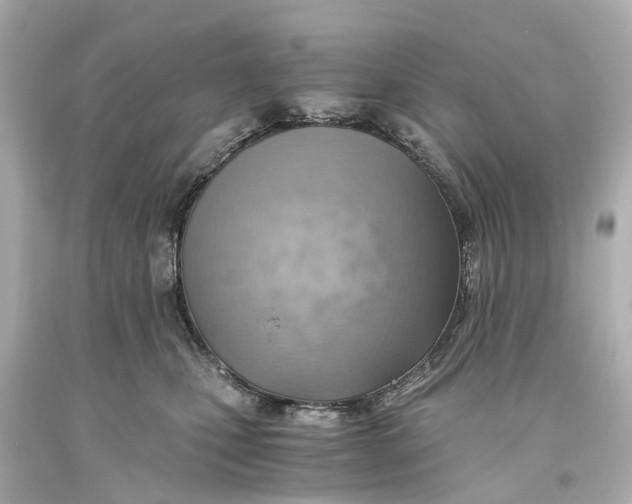 X0000093590471200711051141