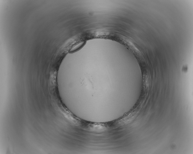 X0000093590475200711051141