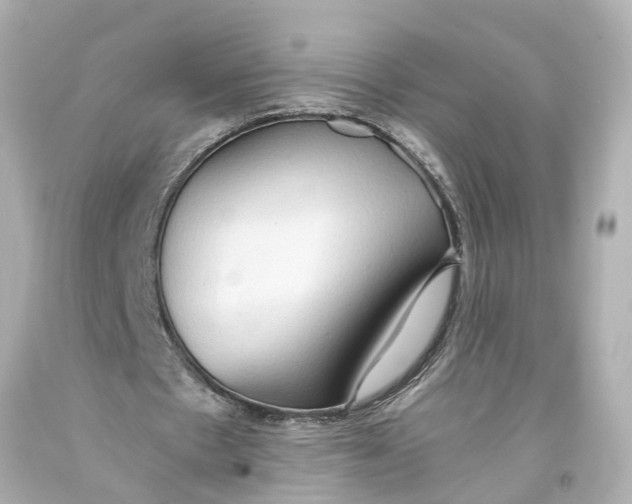 X0000093590481200711051141