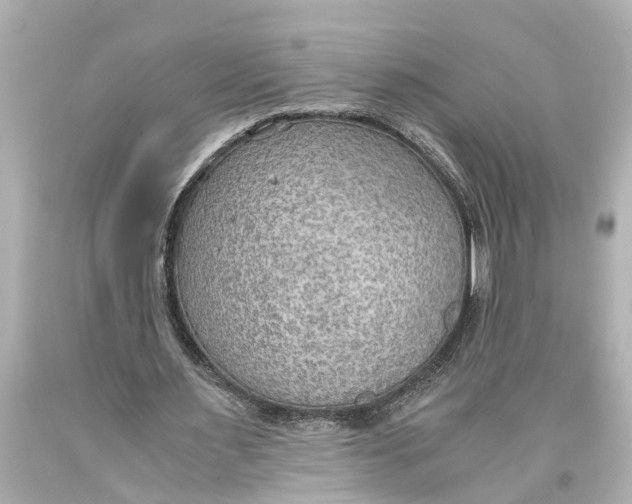 X0000093590483200711051141