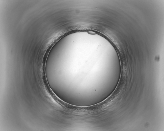 X0000093590485200711051141