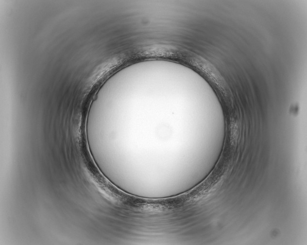 X0000093590490200711051141