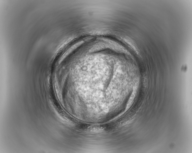 X0000093590491200711051141