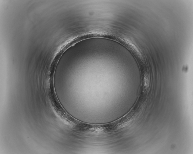 X0000093590492200711051141