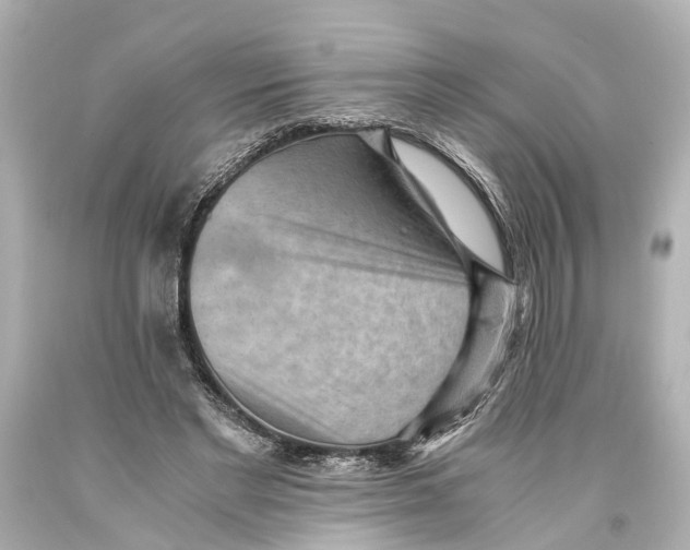 X0000093590493200711051141