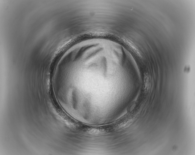 X0000093590494200711051141
