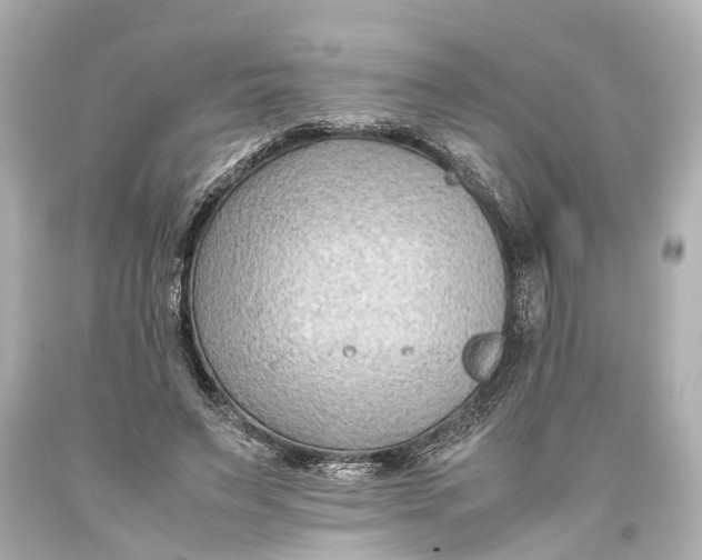 X0000093590495200711051141