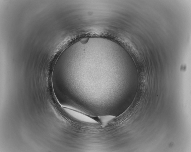 X0000093590496200711051141