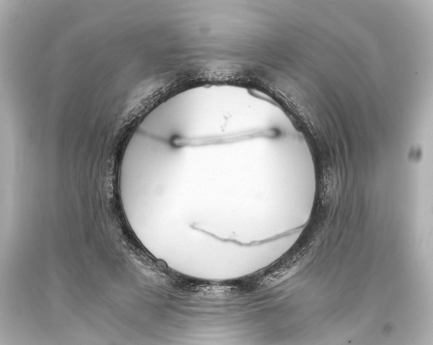 X0000093590497200711051141